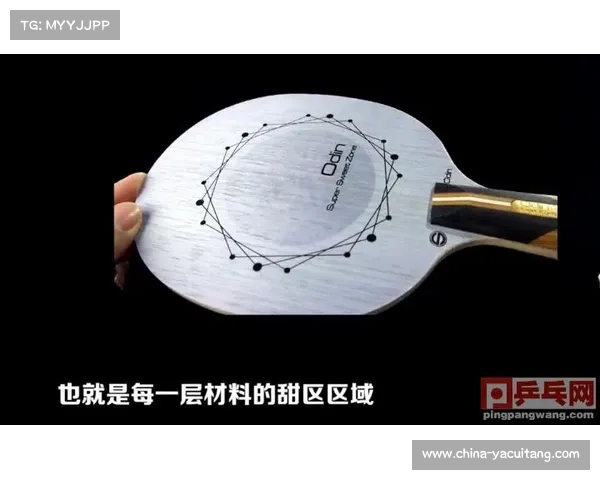 乒乓球器材专利诉讼和解 碳纤维底板技术共享协议达成 乒乓球器材专利诉讼和解 碳纤维底板技术共享协议达成