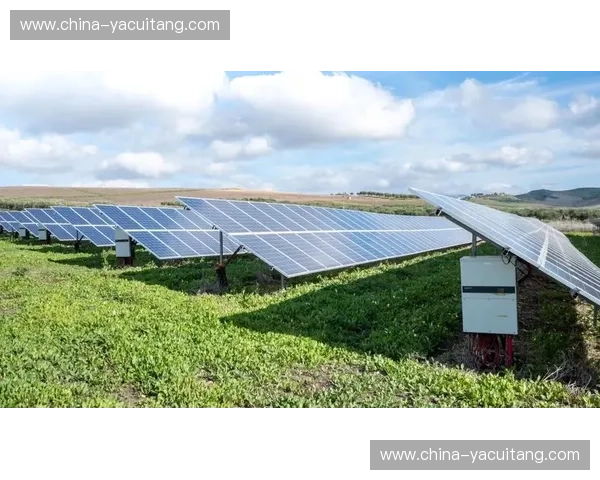 2026世界杯前夕医疗保障协议大修，数字化预案旨在消解各环节授权摩擦
